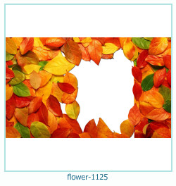 flower Photo frame 1125